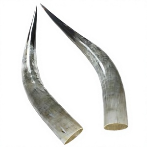 Cuerno Vikingo para Beber de Alta Calidad, a Prueba de Fugas, Ecológico, Precio Directo de Fábrica, 100% Natural, Tallado - Product Image 1