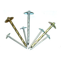 Prix usine galvanisé tête de parapluie torsadé clous de toiture tête de parapluie tête de parapluie clous de toiture de haute qualité 9G 3.85mm