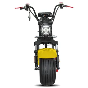 Motocicletas eléctricas 800W 48V China pedaleo asistido scooters eléctricos mini citycoco precio directo de fábrica