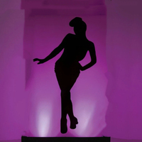 Cage lumineuse scène décorative plate-forme de danse décapant danse GOGO Cage scène lumières couleur LED GoGo plate-forme de danse