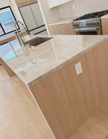 Cuisine moderne modulaire à panneaux plats bicolore avec îlot de cuisine et plan de travail en quartz pour la rénovation de maisons résidentielles