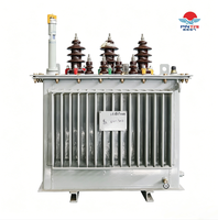 Transformateur à noyau amorphe S11 35 kV 800 kVA ISO9001, bobinage en aluminium, refroidissement ONAF pour alimentation de secours de centre de données, direct usine, triphasé