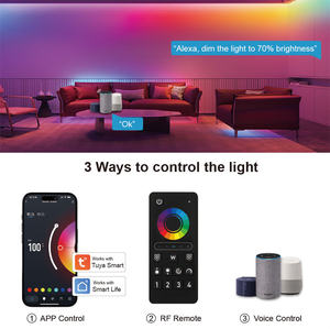 Controlador LED RGBW de 4 Zonas MESH, Control Remoto, Grupo y Sincronización, Tuya Smart WIFI, Mini Controlador de 12/24V, Cambio de Color, Decoración, MC100W - Product Image 6