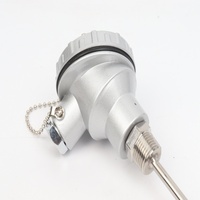 Sonde de température personnalisable en acier inoxydable RTD PT100, 400mm 500mm, filetage NPT 1/2'', thermocouple, support OEM/ODM