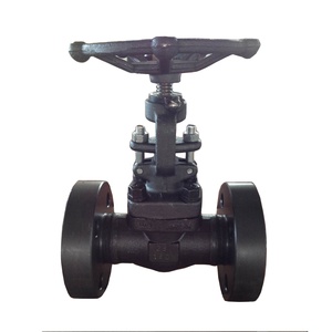 A105 PN25 Gate Flange End 800# Socket Welded F304 Forged Steel Gate for Gas Water Oil Pipe - Product Image 1