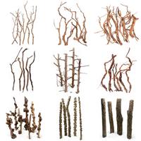 Chine Fabricant Bois Droit Aquarium Driftwood Bali