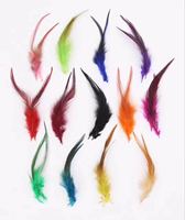 Plumes de coq naturelles teintes en gros de 4 à 6 pouces pour artisanat DIY, costumes, coiffes, décorations de fête et de carnaval