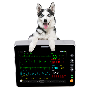 Moniteur patient vétérinaire 8 pouces petit design animal médical et moniteur vital à usage vétérinaire pour vétérinaire - Product Image 2