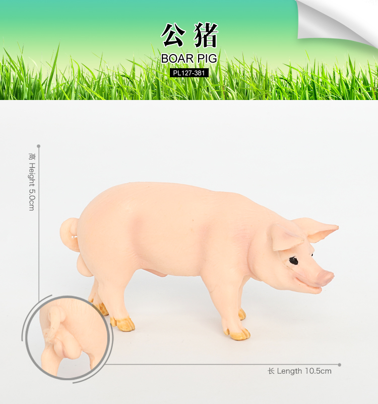 381 Cochon de sanglier