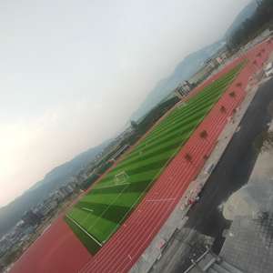 Proveedor Futsal Césped sintético Césped de fútbol artificial <span class=keywords><strong>5</strong></span> A Campo de fútbol lateral Artificial - Product Image 4