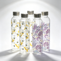 Bouteille à boisson en verre borosilicate avec couvercle en acier inoxydable, testée PPWR, gobelet transparent pour café, thé, jus et eau