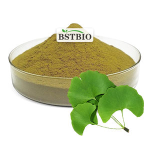 BSTBIO Estratto in Polvere di Ginkgo Biloba con 24% di Flavonoidi - Product Image 1