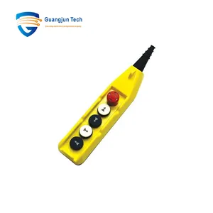 [Industrial equipment] PL05D4-E 5 BUTTON CRANE PEN