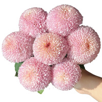 Fleurs fraîches coupées en gros 2026 : Pivoine, Chrysanthème et Strawflower en provenance directe de Chine