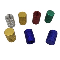 MAXFORD Bouchons de valve de pneu pour vélo et voiture, capuchons de tige de valve anti-poussière pour vélos et roues