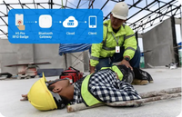 Étiquette portable programmable par le fabricant, compatible MQTT, NFC, RFID, BLE, avec double bouton, étanche IP66 et autonomie de 3 ans pour lanière