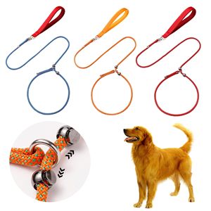 <span class=keywords><strong>Laisse</strong></span> de dressage anti-étranglement <span class=keywords><strong>pour</strong></span> chien, anti-emmêlement 360° °   <span class=keywords><strong>Laisse</strong></span> d'entraînement <span class=keywords><strong>pour</strong></span> chien pivotante, résistance à la rupture 500 kg, avec poignée rembourrée - Product Image 1