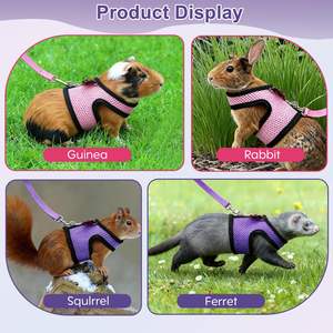 Arnés y Correa para Cobayas al por Mayor de Fábrica, Arnés para Conejos, Arnés Ajustable de Malla Suave Personalizado para Mascotas Pequeñas - Product Image 6