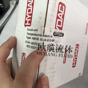 Jauges HM100 400-R-G1/2-BF - Product Image 4