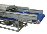 Machine de déshydratation de convoyeur à bande de maille d'air de fruits et légumes