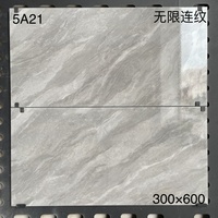 Carreaux modernes antibactériens et résistants à l'usure, texture pierre blanche-grise, 300x600mm, épaisseur 8mm, garantie 5 ans, fabriqués en Chine (Guangdong)