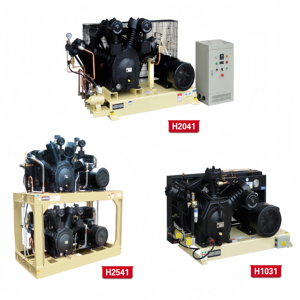 Compresseur d'air industriel portable sans huile 30 bars - Product Image 5