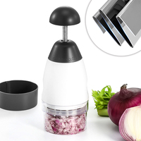 Fabrieks prijs keuken plastic multifunctionele handmatige knoflook snijder uiensnijder groentesnijder handpers container