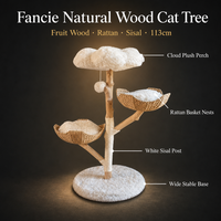 Arbre à chat de luxe en bois massif avec nid en rotin tressé, griffoir en sisal, design intégré, empreinte compacte, pour grands chats, OEM