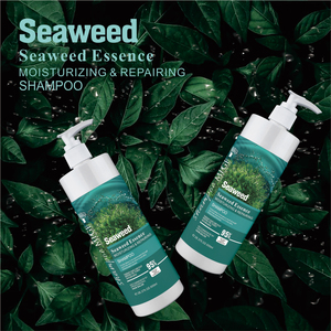 Shampooing à l'huile de noix de <span class=keywords><strong>coco</strong></span> aux algues 500ml répare les cheveux secs et crépus lissant brillant en 3 minutes spécialement utilisé après la permanente et la teinture - Product Image 2