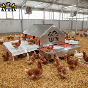 Nido de Acero Tipo H Automático para Gallinas, Nuevo AYTAV 240x490cm, Todas las Estaciones, 1 Año de Garantía - Product Image 3
