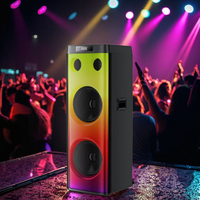 BKK HIFI DJ karaoké prend en charge le microphone sans fil et la télécommande double 12 pouces 300W Subwoofer fort basse boîte en bois haut-parleur