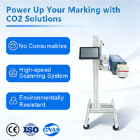 Machine de codage laser CO2 électrique industrielle pour l'industrie des boissons et pharmaceutique/alimentaire, marquage des bouteilles en verre, codes QR, automatique, économie d'énergie