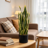 Plante Serpent Artificielle Sansevieria Petite en Pot Plastique Écologique Verte Jaune Décoration Intérieure Maison Noël Remise de Diplôme
