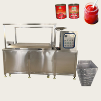 Productie van fruitpasta en -puree, 100 kg per uur, kleine tomatenpureemachine, kleine tomatenketchup productielijn