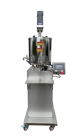 Machine de remplissage de produit de cire Remplisseur d'huile-cire Équipement de remplissage d'huile-cire Remplisseur de fluide visqueux
