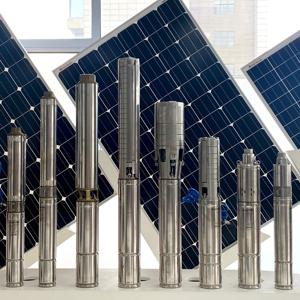 bibo Brushless <b>Submersed</b> Solar Deep Well Screw <b>Pump</b> High 750W System for Agriculture Irrigation - Product Image 1