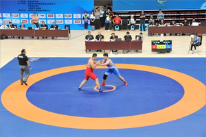 レスリング柔道マットカスタムロゴスポーツトレーニングマット防水レザー素材スポーツトレーニング用 - Product Image 4