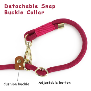 Guinzaglio a doppio fibbia personalizzato con Logo multicolore e Design durevole e regolabile senza mani per cane gatto - Product Image 2