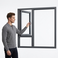 Ventana Abatible AS2047 de Reemplazo con Rotura de Puente Térmico, Doble Acristalamiento, Aislamiento Térmico y Acústico, Apertura Exterior, Ahorro Energético