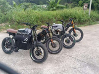 Romeo DL2000 52V 30Ah Baterai Lithium Sepeda Gunung Listrik Dual-Motor Ban Lebar Motor Hub Belakang Jarak Tempuh 90-100km untuk