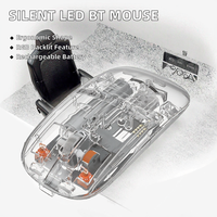 Nouvelle arrivée 2.4G souris transparente sans fil double mode BT 5.2 Rechargeable 1600dpi RGB type-c souris de jeu