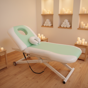 Cama de Spa Eléctrica Personalizable, Cama de Spa Comercial de Metal para Uso en Hoteles y Gimnasios, Cama de Masaje Móvil para Salón de Belleza y Estudio - Product Image 2