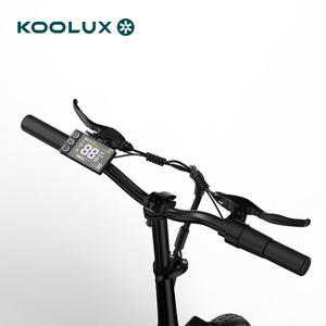 Bicicleta Eléctrica Plegable KOOLUX X16, Urbana, 250W, para Mujer, Motor Central, Batería de Litio, Neumáticos Anchos - Product Image 3