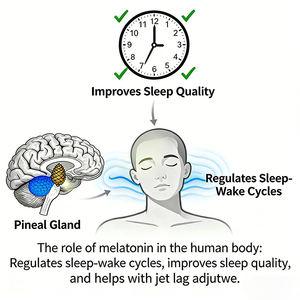 OEM/ODM Tiras Orales de Melatonina para Adultos, Sin Gluten, Favorecen el Sueño Rápido, Equilibran el Estado de Ánimo, Suplemento Dietético Personalizado - Product Image 5