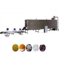 Extrudeuse Modèle 78 pour Ligne de Traitement du Riz Konnyaku Miracle, Riz Artificiel Fortifié Konjac Shirataki, Moulin à Farine de Plantes, Moteur de Moulin à Farine
