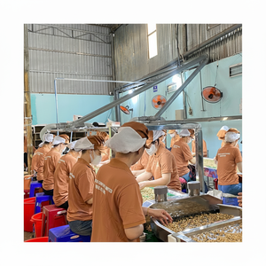 ถั่วและเมล็ดมะม่วงหิมพานต์จากเวียดนาม W320มีคุณภาพดีส่งออกไปยังสหภาพยุโรปตะวันออกกลาง - Product Image 1