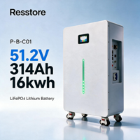 Batterie solaire divisée 16 kWh avec communication CAN pour système onduleur 51,2 V LiFePO4 pour projets de consommation solaire autonome et de secours domestique