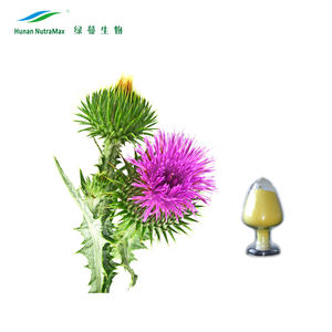 5:1 ekstrak Thistle Blessed Milk Thistle Capsule ekstrak Thistle organik - Product Image 3
