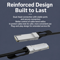 Kabel Optik Aktif IIIV QSFP28 100G AOC 1m/2m/3m/5m Panjang Kustom Garansi 3 Tahun untuk Server Switch Pusat Data Kecepatan Tinggi