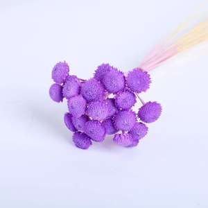 Offre Spéciale séché fleur Billy boules pissenlit petite boule préservée Mini bouton chrysanthème pour la décoration <span class=keywords><strong>de</strong></span> mariage - Product Image 2